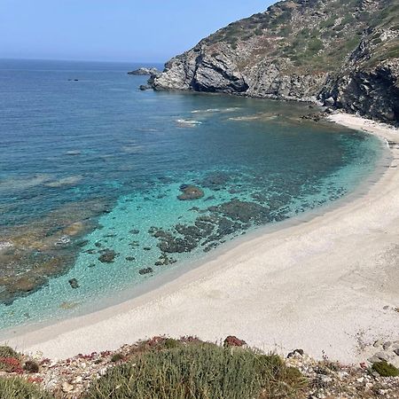 La Mansarda Bed and Breakfast Biancareddu Εξωτερικό φωτογραφία