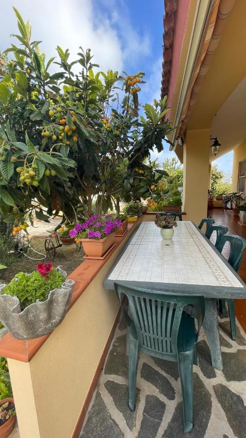 La Mansarda Bed and Breakfast Biancareddu Εξωτερικό φωτογραφία