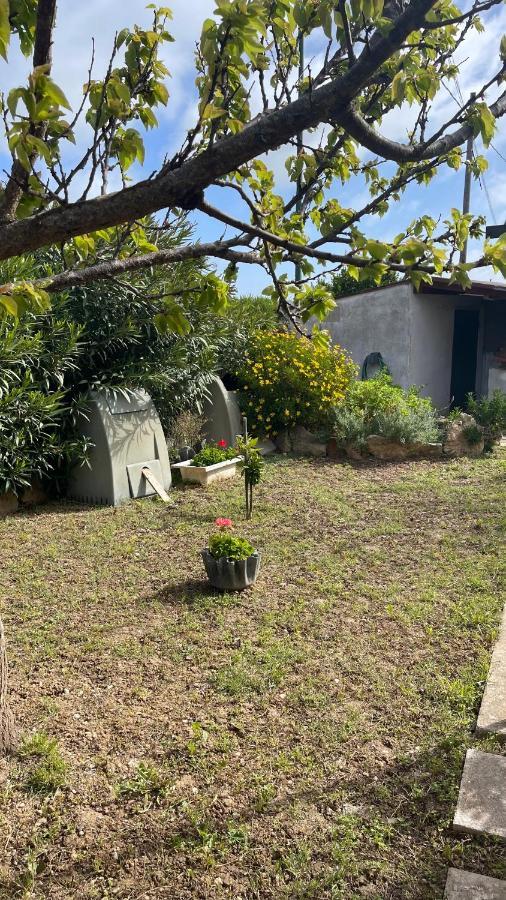 La Mansarda Bed and Breakfast Biancareddu Εξωτερικό φωτογραφία